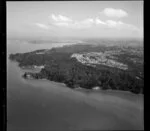 Kauri Point and Chatswood, Auckland