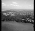 Kauri Point and Chatswood, Auckland