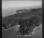 Kawau Island, Hauraki Gulf