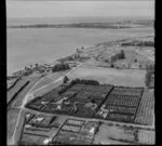 Orchards at Otumoetai, Tauranga