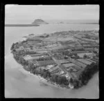 Orchards at Otumoetai, Tauranga