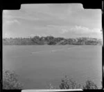 Orakei Basin, Auckland, with speed boats on the water