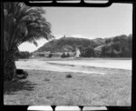 Whitianga harbour