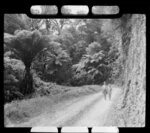 Two unidentified boys walking down the road over the Coromandel Ranges