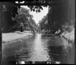 Canoes, Avon River, Christchurch