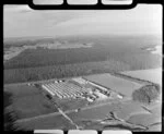 Tokoroa area, South Waikato District, Waikato Region, featuring unidentified factory, pine forests and [nursery for young pine trees?]