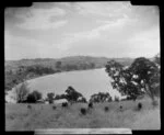 Stanmore Bay, Whangaparaoa Peninsula, looking down towards the beach