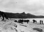 Bracey, O M (Mrs) :Two lifeboats from the steamer "Ventnor" on Omapere Beach photographed by Charles Peet Dawes