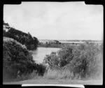 Judges Bay, Parnell, Auckland, showing Teal Park