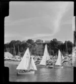 Yachts at Okahu Bay, Auckland