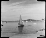 Yachting at Okahu Bay, Auckland