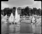 Yachts at Okahu Bay, Auckland