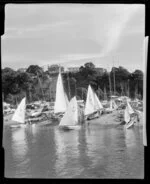 Yachts at Okahu Bay, Auckland