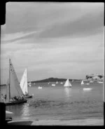 Yachting at Okahu Bay, Auckland