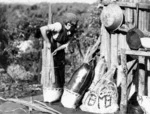 Mrs S Burke placing bark around kelp/flax bags of salted mutton birds, at Solomon Island