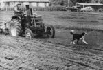 Ploughing contest at Kakariki, Manawatu - Photograph taken by Regal Studios