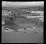 Point farm, E I and A F Copsey Ltd, Manukau Harbour