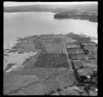 Point farm, E I and A F Copsey Ltd, Manukau Harbour