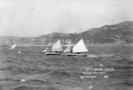 Yachts competing in the Port Nicholson Yacht Club regatta, Wellington Harbour