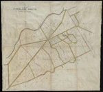 [Havelock North Road Board] :Plan of Havelock North town district [ms map]. [ca.1880]