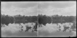 Lake with jetty, Catlins, Otago