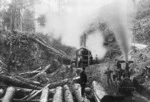 Milling line at Echo Valley near the Wanganui River Bridge, Taumarunui, with locomotive and steam log hauler