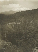 Creator unknown : Makatote Gorge and Mount Ruapehu