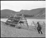 Eel drying racks at Lake Forsyth, Canterbury - Photograph taken by K V Bigwood