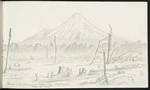 [Walsh, Philip] 1843-1914 :From Col. Trimble's clearing. Inglewood. Nov. 10, 1876.