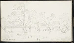 Walsh, Philip, 1843-1914 :Herds Pt. Nov 23 [18]85.