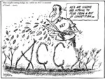 'Man caught cutting hedge etc. while on ACC is accused of fraud news'. "NZ's ACC scheme has nothing to fear from a bit of competition.." 17 July, 2008