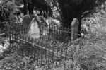 The Stafford family grave, plot 1003, Bolton Street Cemetery