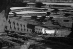 Wreck of the Hydrabad, Waiterere Beach