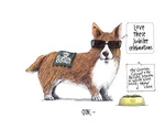 Royal corgis love the Jubilee celebrations