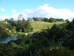 Chiefly images of Kerikeri