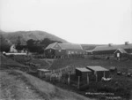 The McMenamen homestead, Terawhiti, during the search for survivors from the Penguin