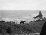 Beach between Cape Terawhiti and Sinclair Head, Wellington, after the wreck of the Penguin