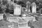 The grave of Edith Christine Thomson and the Rowden family, plot 39.M, Sydney Street Cemetery.