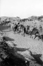 Men, and mules with supplies of ammunition, trekking up hill, Gallipoli Penisula, Turkey, during World War I