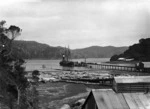 Great Barrier Island showing the ship Beulah and kauri logs