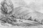 Swainson, William, 1789-1855 :Weeping pine and Gov. cottage. New Norfolk, Tasmania. 1855.