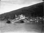 SS Wiltshire after she was wrecked at Rosalie Bay, Great Barrier Island