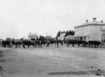 Bullock team outside the Fairlie Hotel, Fairlie