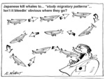 Japanese kill whales to... "study migratory patterns"... Isn't it bleedin' obvious where they go? 7 June, 2005