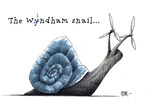 The Windham Snail