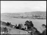 View of Dunedin Harbour