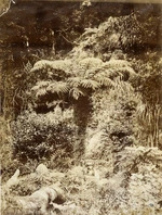 Moresby, Matthew Fortescue fl 1856-1861 :Ngahauranga Valley, Wellington, N.Z.