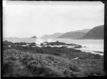 Taputeranga Island, Island Bay, Wellington, seen from Princess Bay