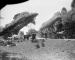 Group at limestone formations known as Devils Boots, at Collingwood