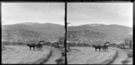 Two figures in a horse drawn cart outside business premises of A Webster [boot maker?], Roslyn, Dunedin